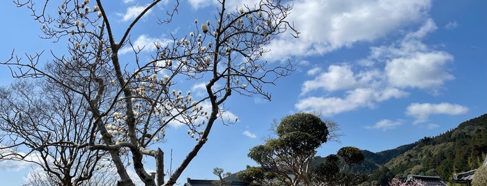 補陀洛山 禅定寺 is one of 数珠巡礼 加盟寺.