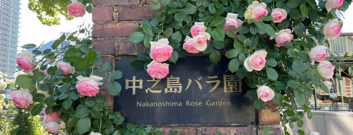 Nakanoshima Rose Garden is one of Places - Japan.
