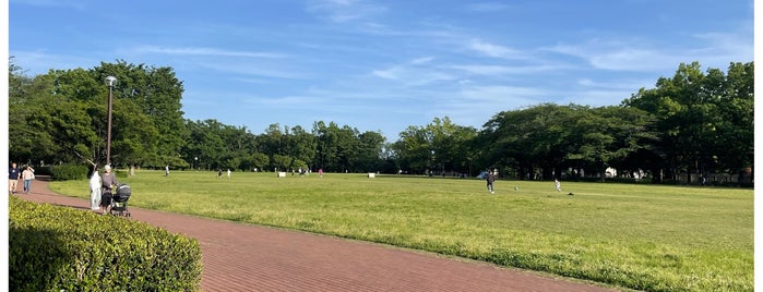 Higashimurayama Chuo Park is one of 東京散歩.