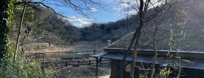 Saitama Midori-no-mori Nature Park is one of 公園.