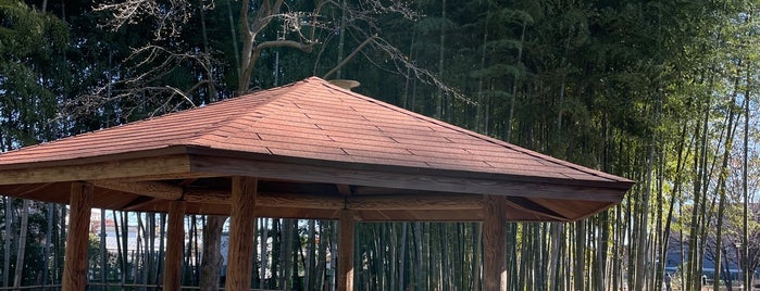 たけのこ公園 is one of 多摩湖自転車道.