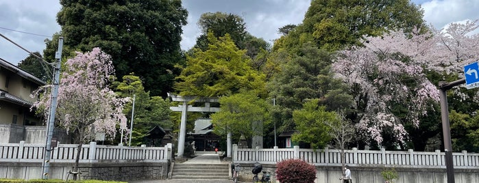 八坂神社 is one of 東京23区以外(除町田八王子).