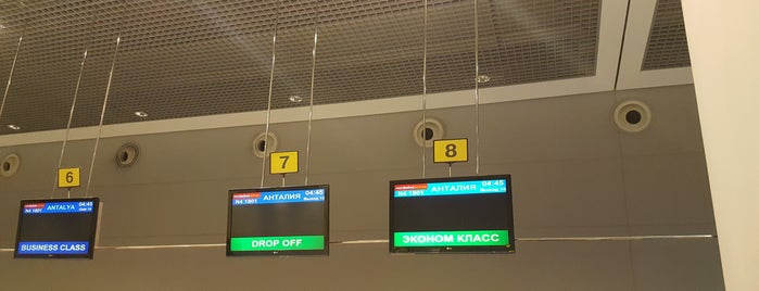 Стойки регистрации / Check-in Area (C) is one of SVO Airport Facilities.