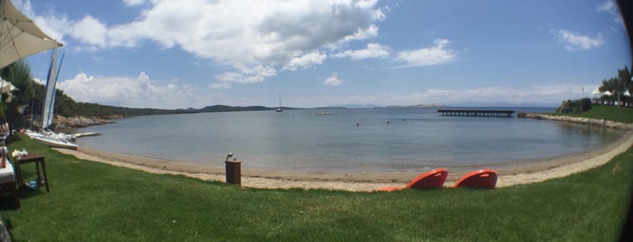 Ortunç Club Beach is one of bedis.