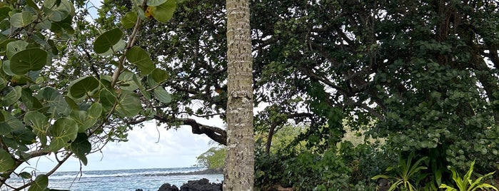 Carlsmith Beach Park is one of USA Hawaii Big Island.