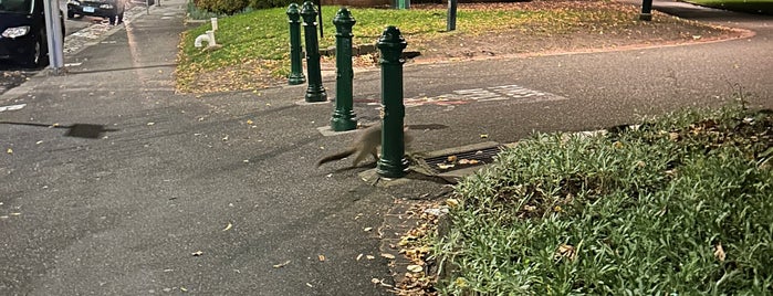 Treasury Gardens is one of Melbourne Dec 2015.