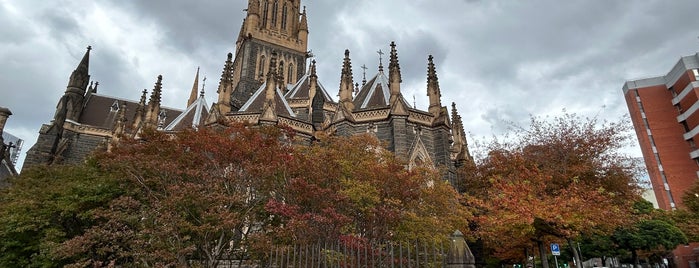 St. Patrick's Cathedral is one of SYD MEL 2019.