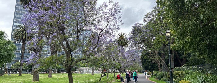 Parliament Gardens is one of My East Melbourne:.