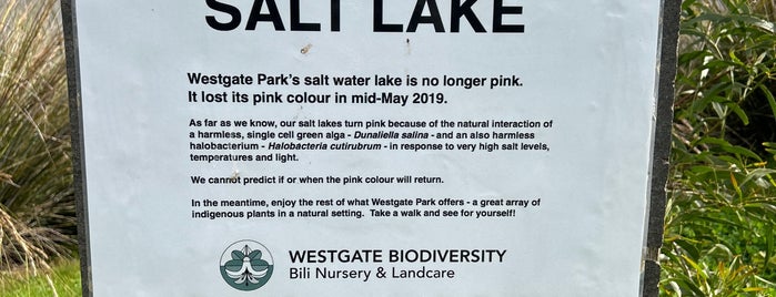 Pink Lake is one of AUS 2019.