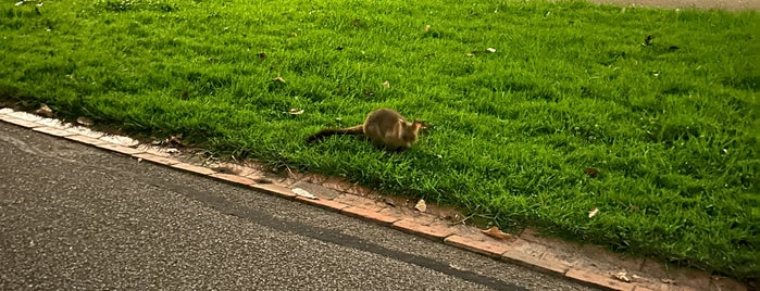 Fitzroy Gardens is one of AUS.