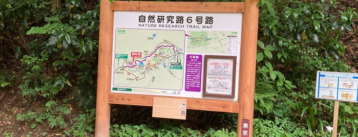 Nature Research Trail 6 is one of 東日本の山-秩父山地.