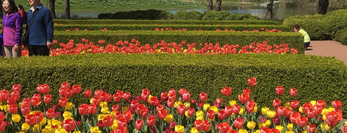 Chicago Botanic Garden is one of Damonさんのお気に入りスポット.