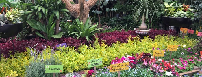 Mercado de Plantas y Flores Cuemanco is one of สถานที่ที่ Damon ถูกใจ.