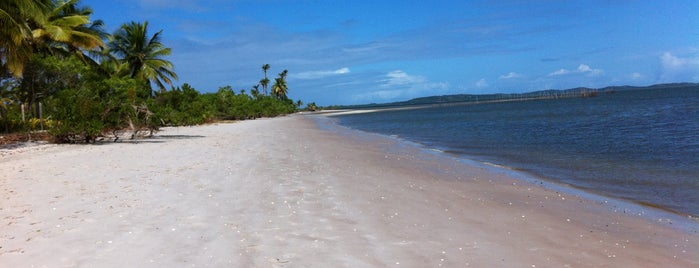 Ilha do Goió is one of Marcusさんのお気に入りスポット.