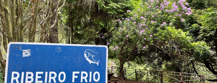 Ribeiro Frio is one of Places - Madeira.