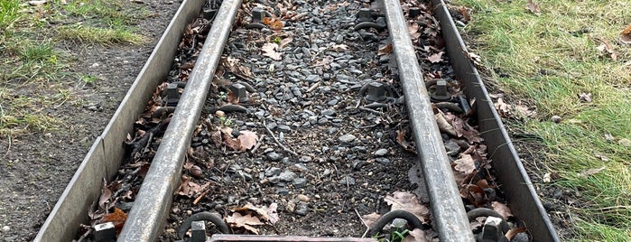 Parkeisenbahn Großer Garten - Bahnhof Carolasee is one of Großer Garten Dresden 4/5🇩🇪.