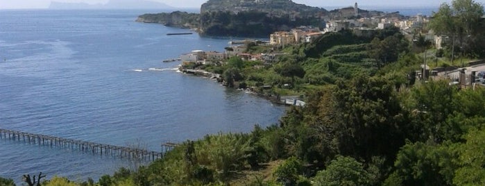 museo archeologico dei campi flegrei is one of Amalfi & Capri.