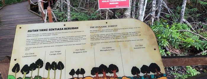 Hutan Paya Larut Matang is one of Kuala Sepetang Perak.