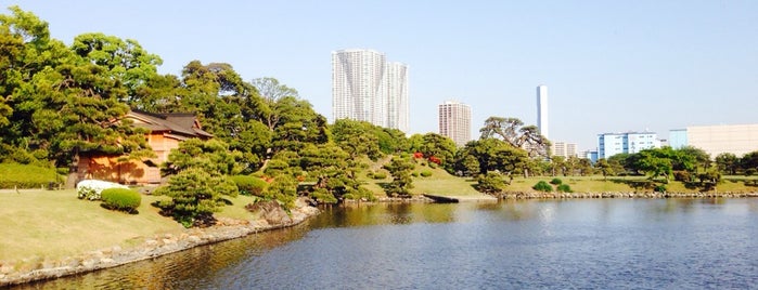 Hamarikyu Gardens is one of Tokyo culture.