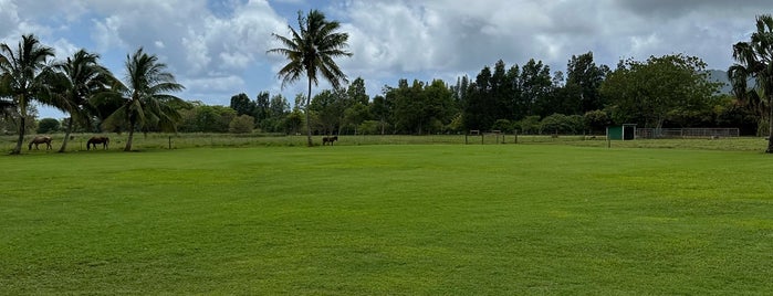 Luau Kalamaku at Kilohana Plantation is one of Attractions.