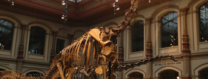 Museo de Historia Natural is one of Montse in Berlin.