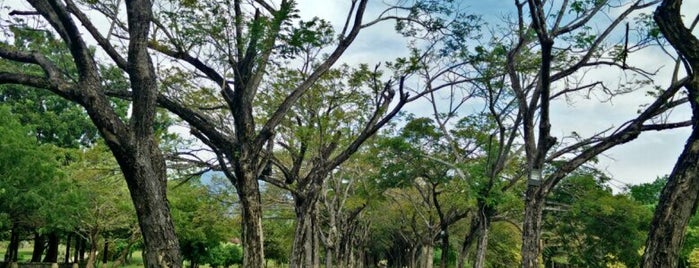 Legenda Park Langkawi is one of Orte, die ÿt gefallen.