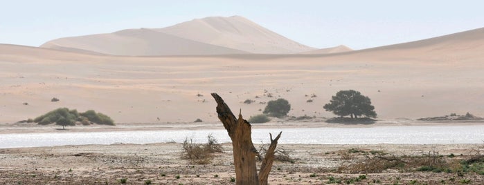 Sossusvlei Dune is one of Orte, die Lena gefallen.