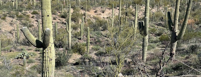 King Canyon Trailhead is one of Tucson.
