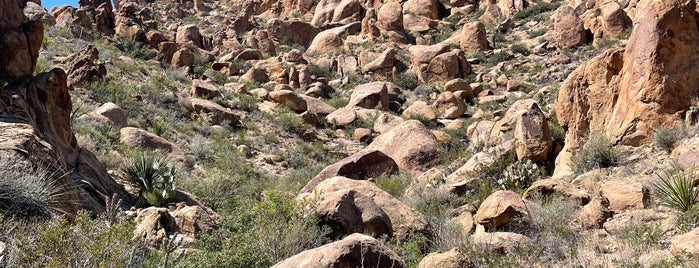 Grapevine Hills Trail is one of MRF.