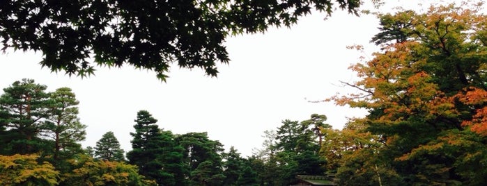 Kenrokuen Garden is one of Travel : Sakura Spot.