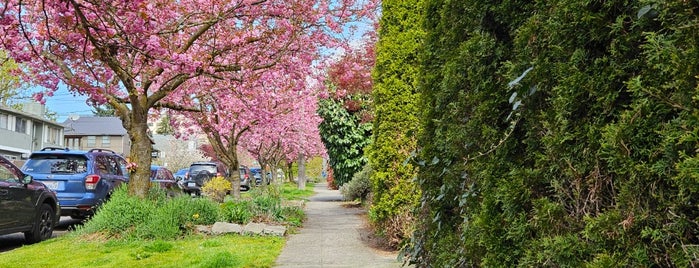 Central District is one of Seattle area municipalities.