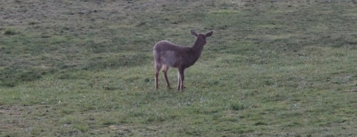 Doe Bay Resort & Retreat is one of San Juan Islands.