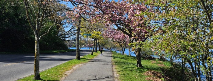 Lake Washington Blvd Park is one of Must Visit.