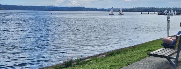 Madrona Park is one of Seattle Parks and Outdoor Spaces.