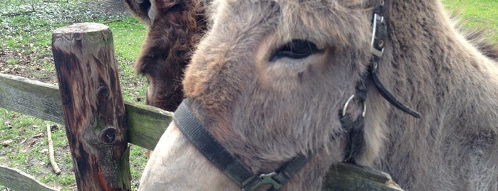 Kinderboerderij Barelhoeve is one of Favorites.