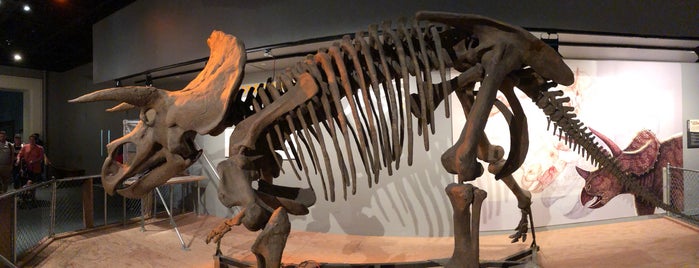 The Last American Dinosaurs is one of Locais salvos de Kimmie.
