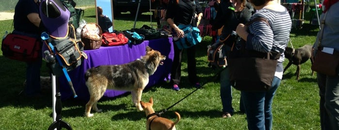 Somerville Dog Festival is one of Tempat yang Disukai Madison.