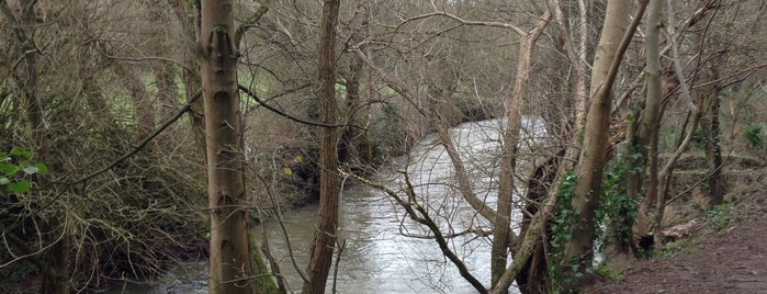 Eastville Park is one of Bristol.