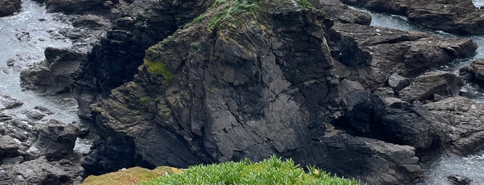 Lizard Point is one of U.K..