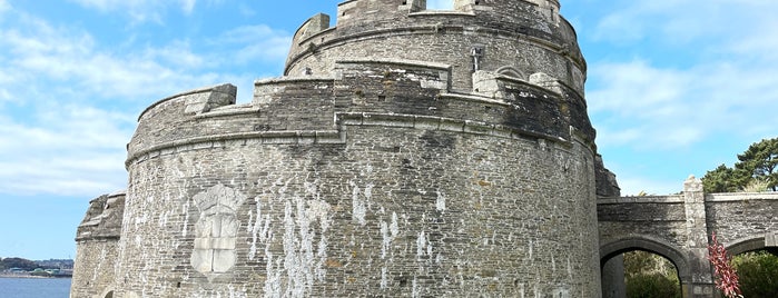 St Mawes Castle is one of Historic England.