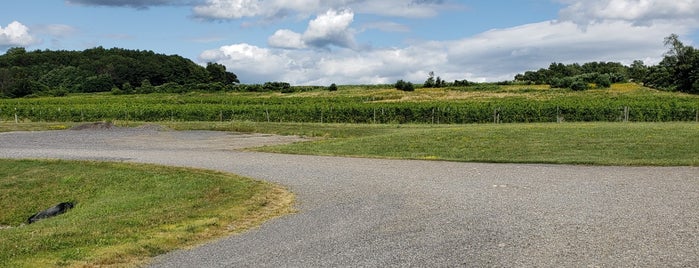 Rooster Hill Vineyards is one of Orte, die Greg gefallen.