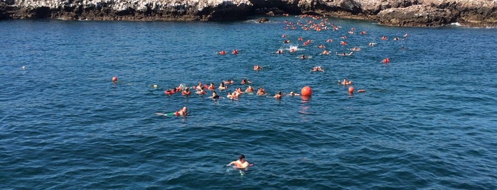 Playa del Amor / La Playa del Cráter is one of Vallarta.