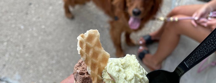 Black Dog Gelato is one of Ice Cream, Gelato and Fro Yo.