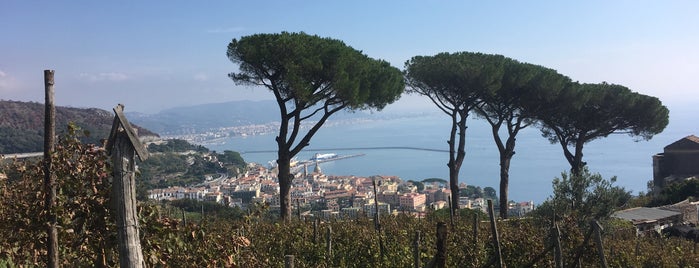 Vigne di raito is one of Naples & Amalfi Coast.