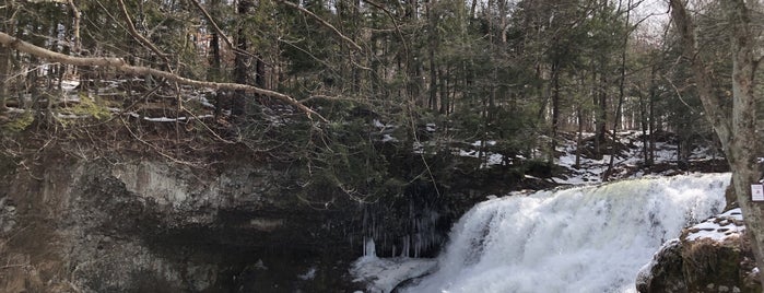 Wadsworth Falls State Park - Waterfall is one of Davidさんのお気に入りスポット.