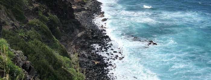 Punalau Beach is one of MAUI.