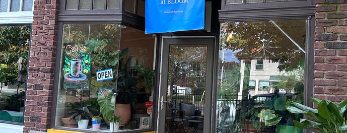 BLOOM is one of New Haven.