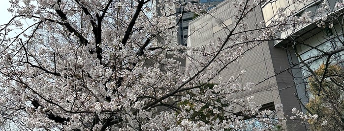 Imperial Hotel Osaka is one of Kansai.