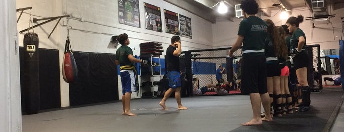 Evolution MMA Miami is one of Activities.