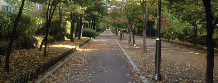 이물재 공원 is one of All-time favorites in South Korea.